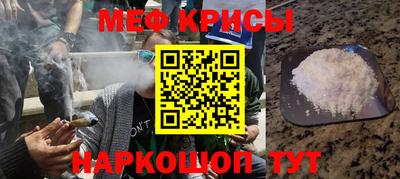 гашик Моздок