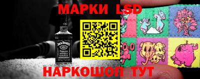 гашик Моздок