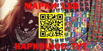 гашик Моздок