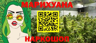 гашик Моздок