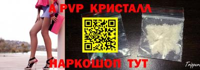гашик Моздок