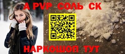 гашик Моздок