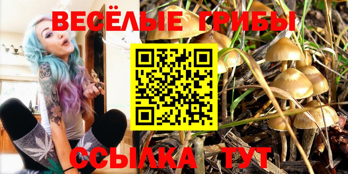 Псилоцибиновые грибы мицелий  Вход с VPN  Дальнегорск 