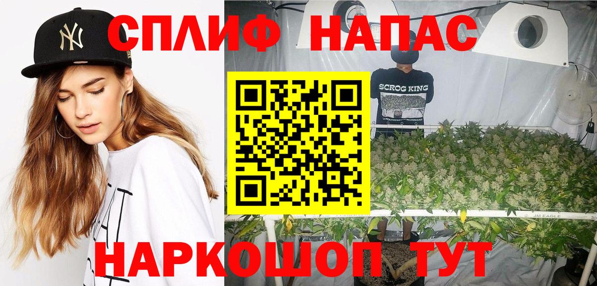 Конопля Amnesia  Вход с VPN  Бошки марихуана ГИДРОПОН  Дальнегорск  Каннабис VHQ  Бошки Шишки планчик 